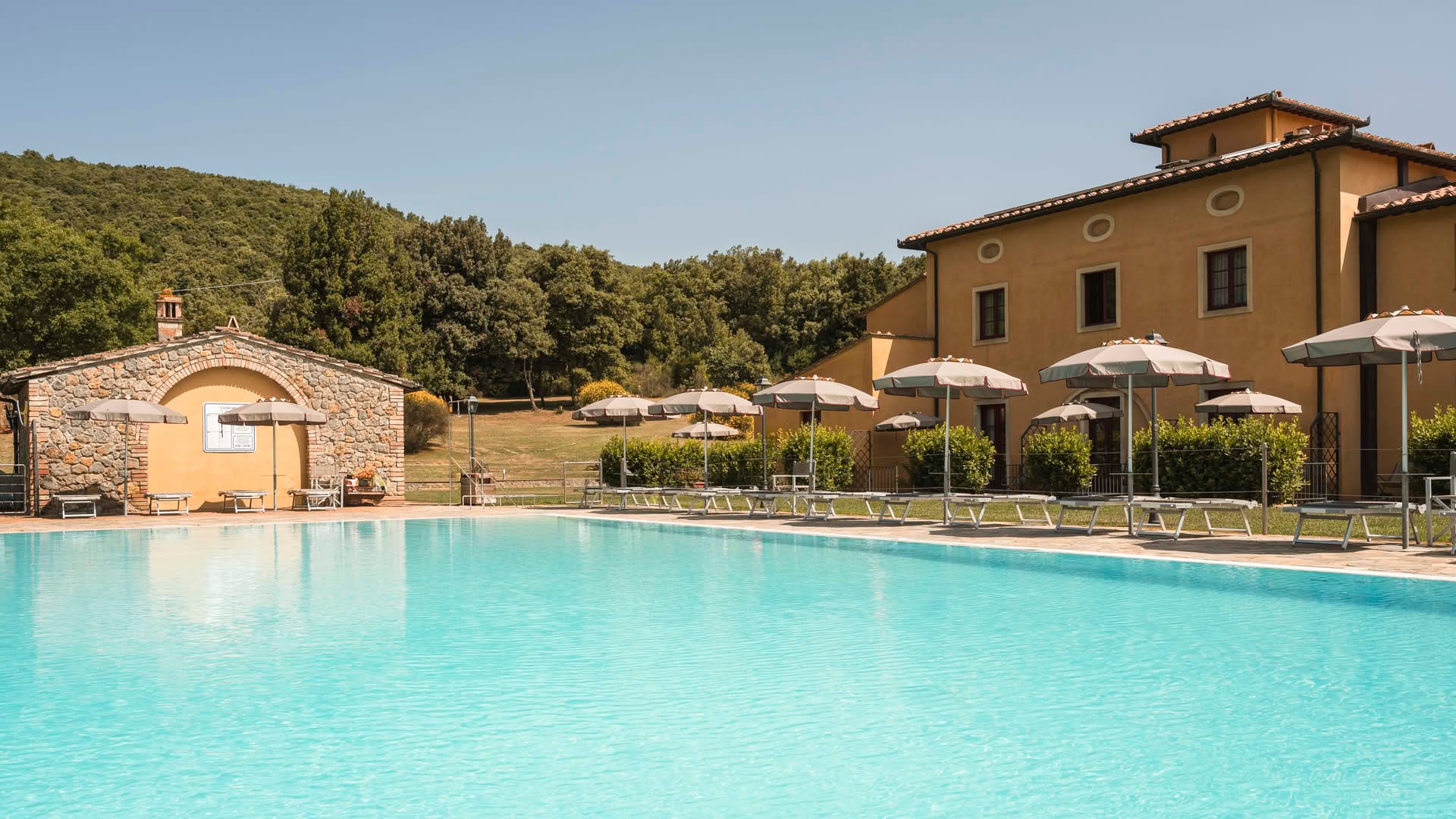 Immagine - 55eae4fa-b885-46da-92f2-6066e9a42458