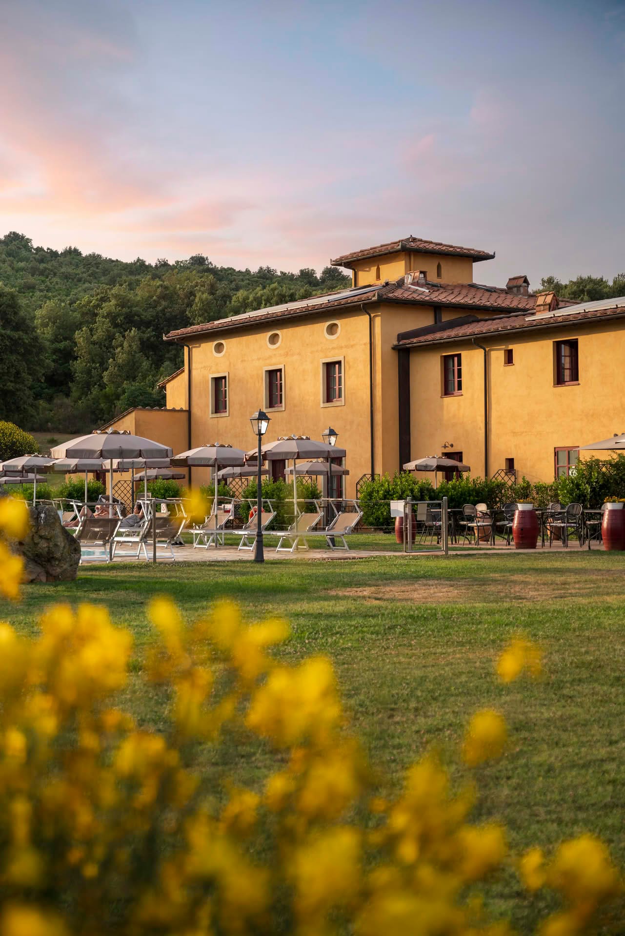 Immagine - 603106b8-4f5b-4265-996a-dd3eb6c5442b