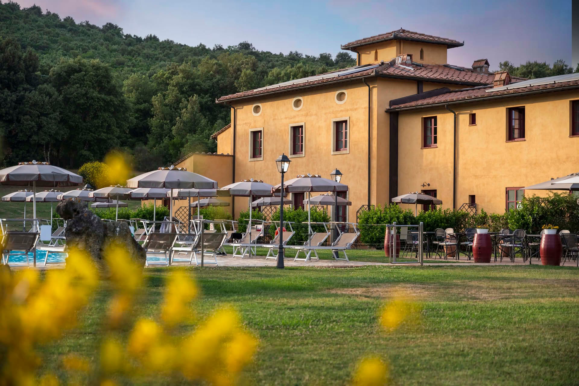 Immagine - ce6edc3f-de9a-4f21-8312-dc4a6f288297