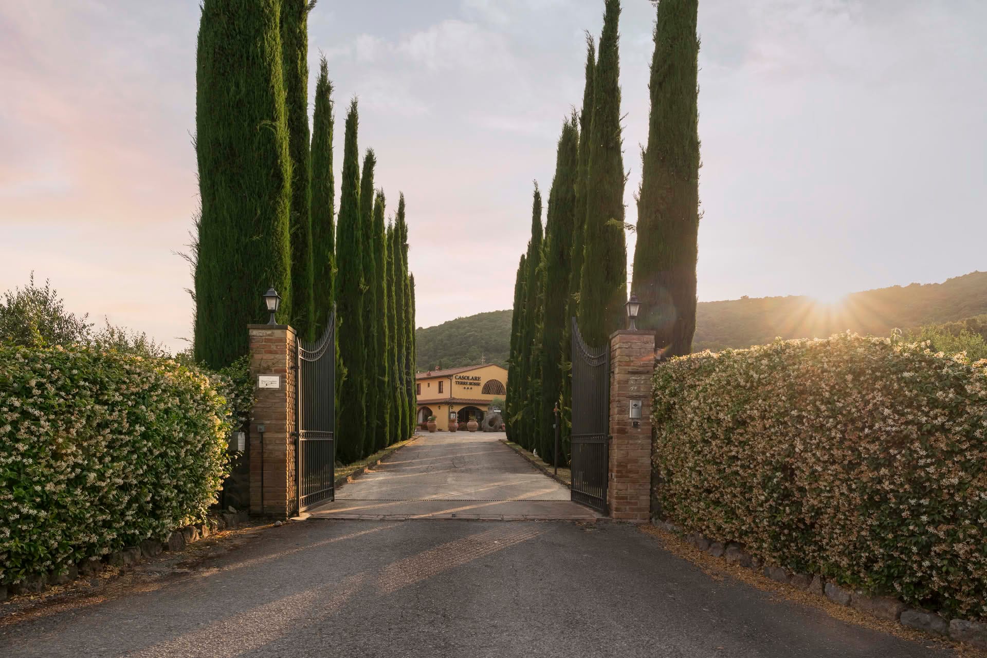 Immagine - 972c60a3-1839-443e-9844-a9a03ebbfe5c